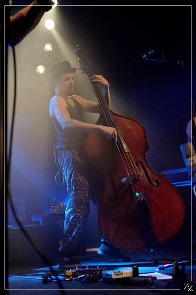 NIK_89067 Steve'n'Seagulls 24-01-2019 (Zz) (p).jpg